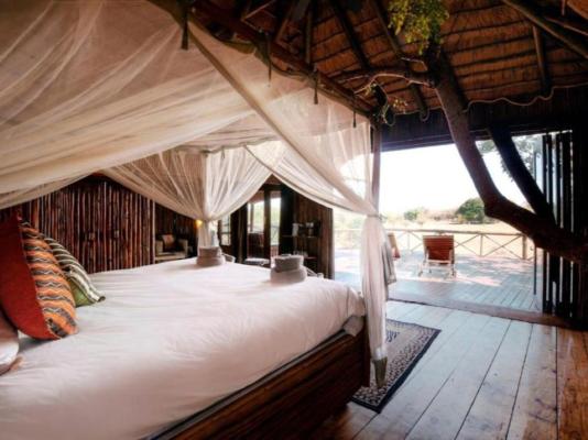 Pezulu Tree House Lodge - 230929