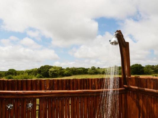 Pezulu Tree House Lodge - 230930