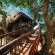 Pezulu Tree House Lodge - 230931
