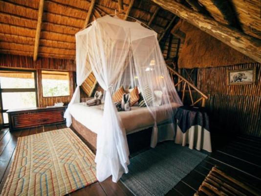 Pezulu Tree House Lodge - 230932