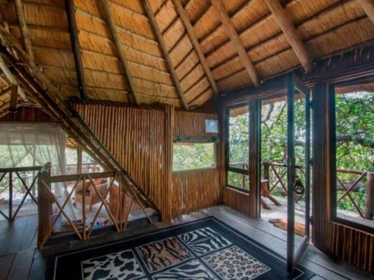 Pezulu Tree House Lodge - 230933