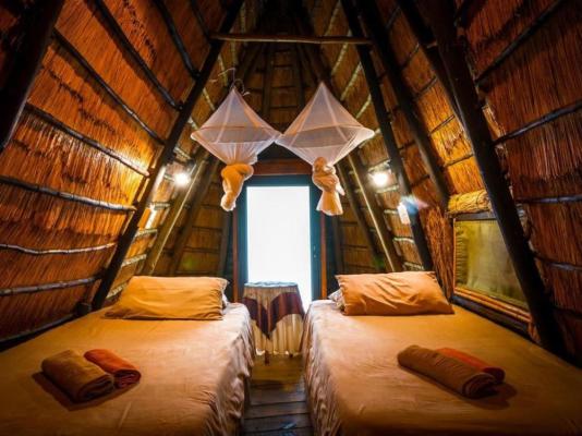 Pezulu Tree House Lodge - 230935