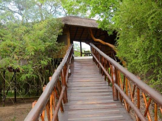 Pezulu Tree House Lodge - 230936