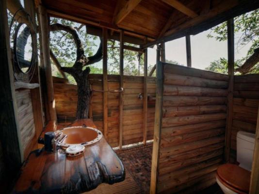 Pezulu Tree House Lodge - 230939