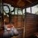 Pezulu Tree House Lodge - 230939