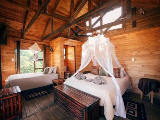 Pezulu Tree House Lodge - 230941