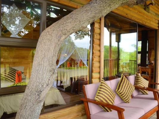 Pezulu Tree House Lodge - 230942