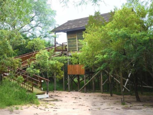 Pezulu Tree House Lodge - 230943