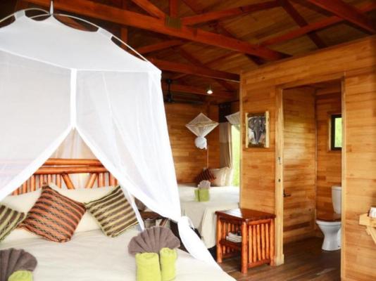 Pezulu Tree House Lodge - 230945