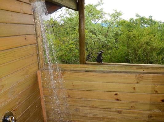 Pezulu Tree House Lodge - 230946