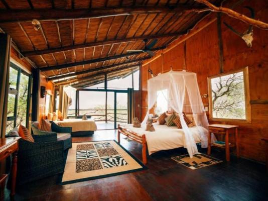 Pezulu Tree House Lodge - 230948