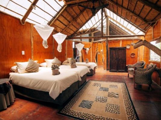 Pezulu Tree House Lodge - 230949