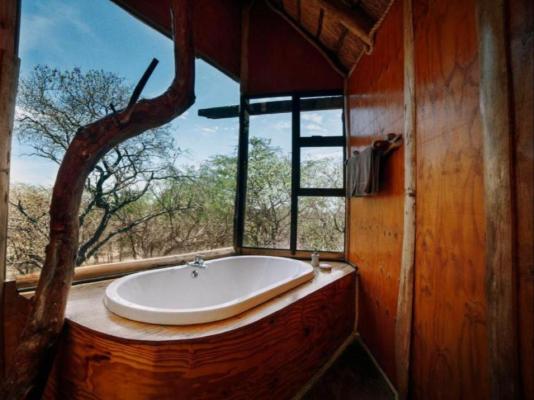 Pezulu Tree House Lodge - 230950