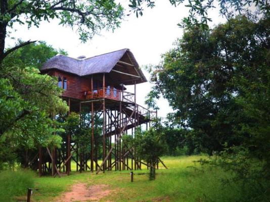 Pezulu Tree House Lodge - 230951