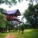 Pezulu Tree House Lodge - 230951