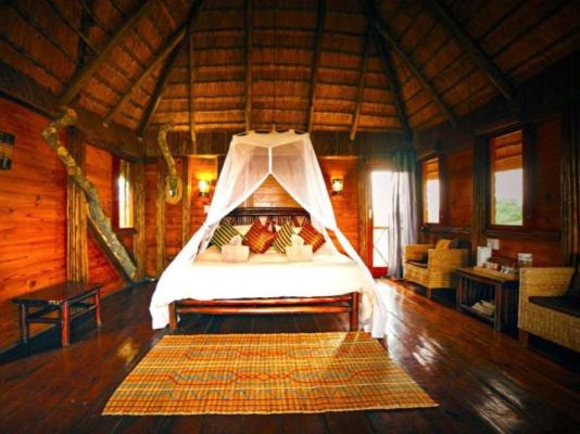 Pezulu Tree House Lodge - 230952