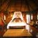 Pezulu Tree House Lodge - 230952
