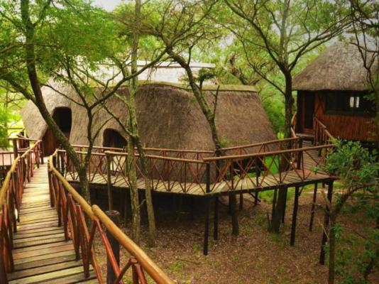 Pezulu Tree House Lodge - 230955
