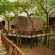 Pezulu Tree House Lodge - 230955