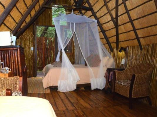 Pezulu Tree House Lodge - 230956