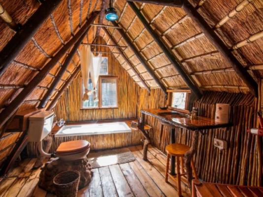 Pezulu Tree House Lodge - 230957