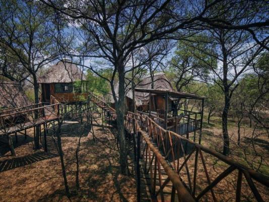 Pezulu Tree House Lodge - 230959