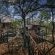 Pezulu Tree House Lodge - 230959
