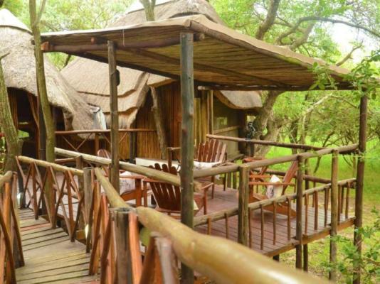 Pezulu Tree House Lodge - 230961