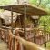 Pezulu Tree House Lodge - 230961