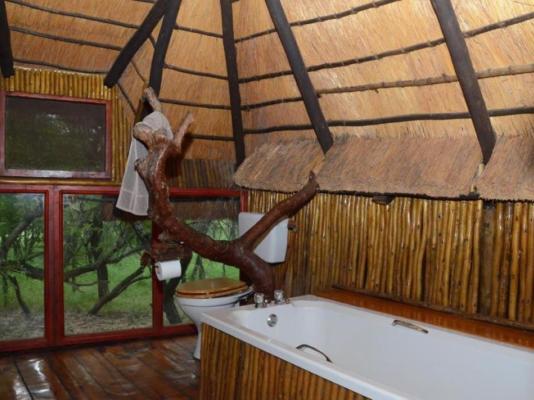 Pezulu Tree House Lodge - 230962
