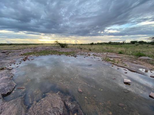 Kameeldoring Glamping Namibia - 231050