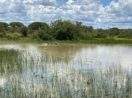 Kameeldoring Glamping Namibia - 231051