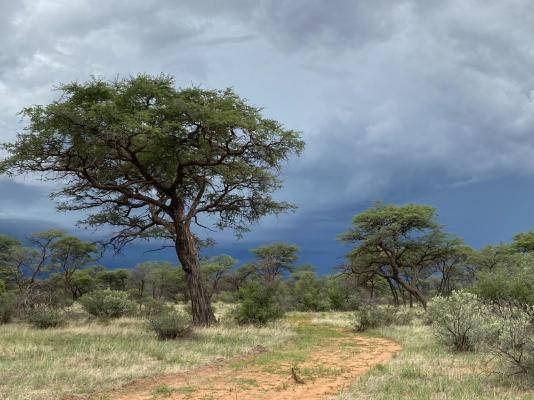 Kameeldoring Glamping Namibia - 231052