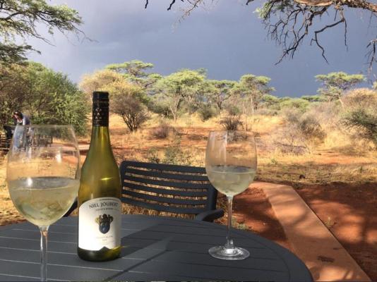Kameeldoring Glamping Namibia - 231056
