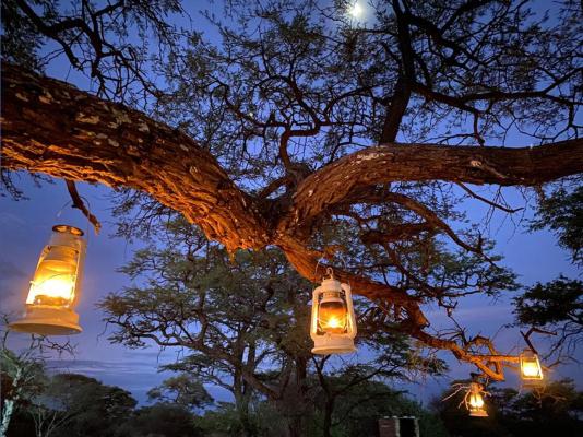 Kameeldoring Glamping Namibia - 231059