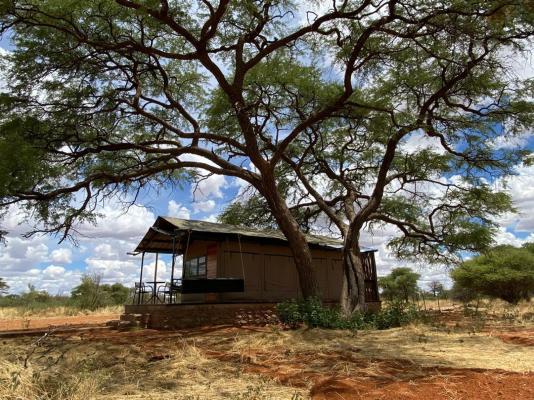 Kameeldoring Glamping Namibia - 231079