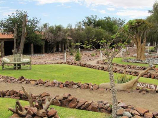 Elegant Desert Lodge - 231251