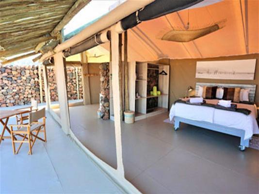 Elegant Eco Camp - 231281