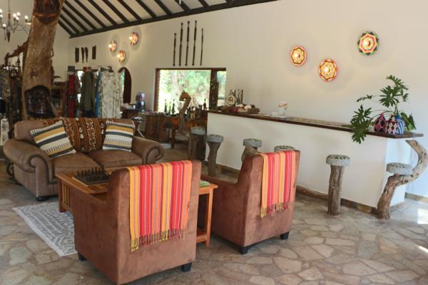 Mohlabetsi Safari Lodge - 231307