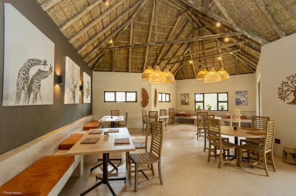 Mziki Safari Lodge - 231389