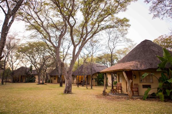 Mziki Safari Lodge - 231403