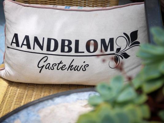 Aandblom Gastehuis - 231715