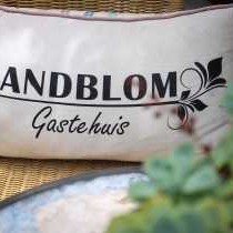 Aandblom Gastehuis - 231715