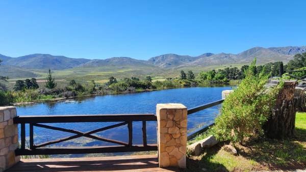 Mountain Pastures - 231754