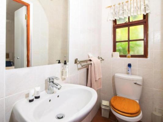 Storms River Guest Lodge - 231936