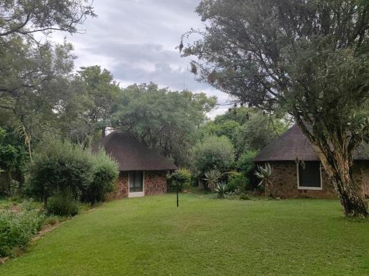 Buccara Waterberg - Molapo - 231972
