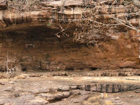 Buccara Waterberg - Molapo - 231983