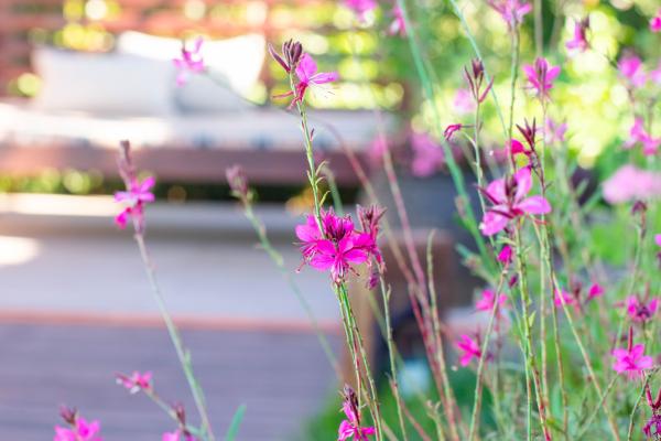 5 Seasons Guest House - 232160