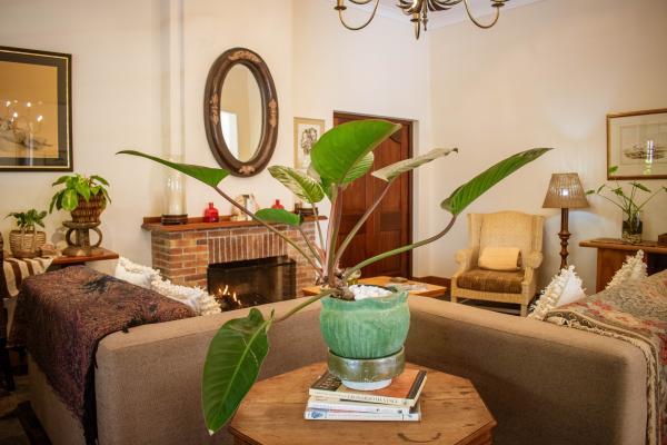 5 Seasons Guest House - 232169