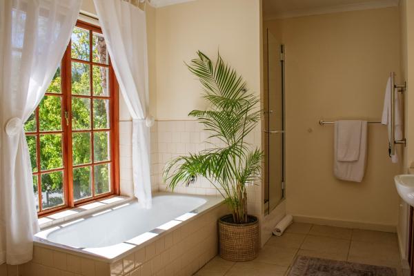 Sunrise Suite